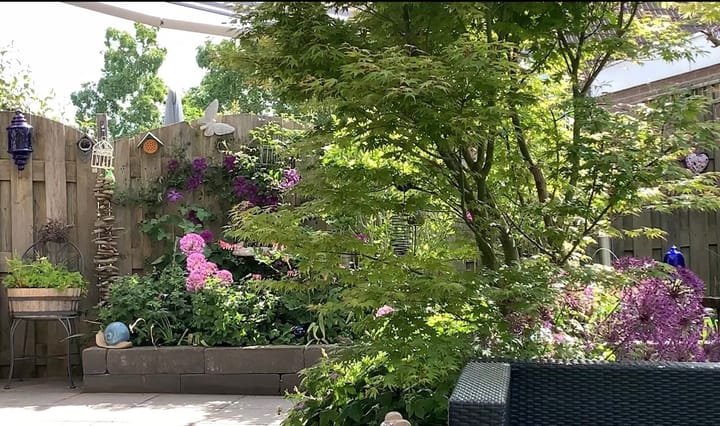 Foto 16 van Viergang 111