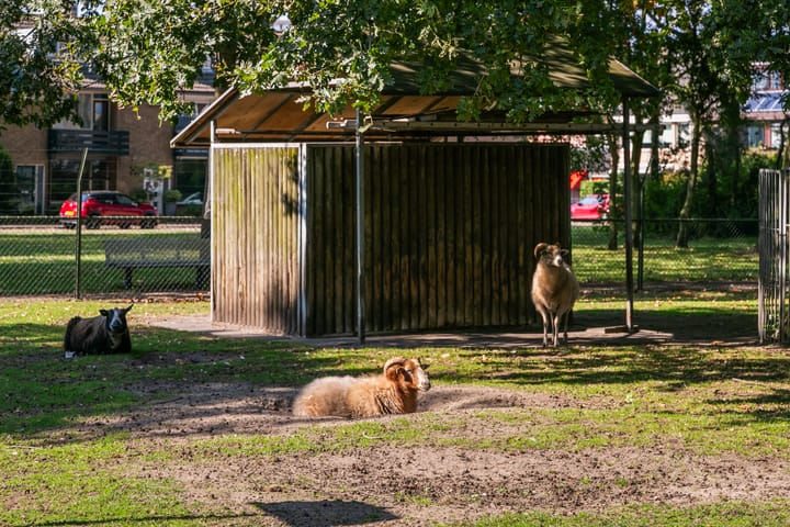 Foto 8 van Lijsterlaan 40