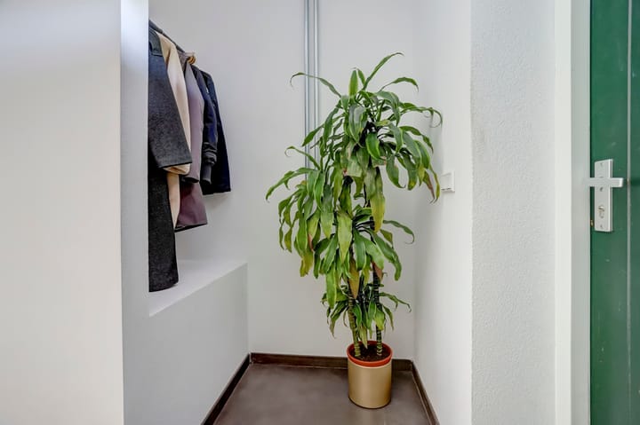 Foto 24 van Schaapsbrug 10