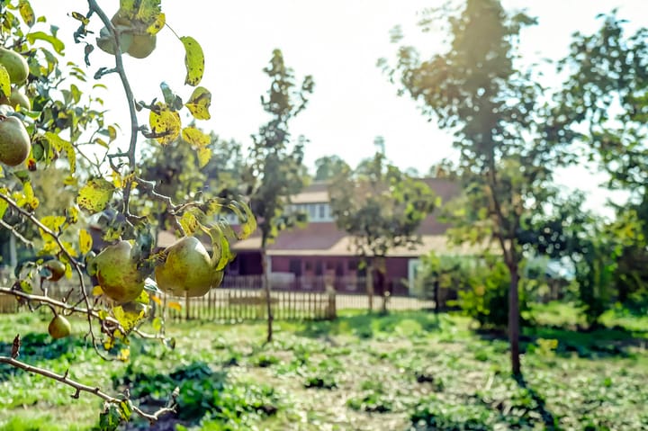 Foto 81 van Schaapsbrug 10