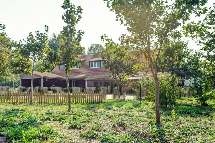 Foto 82 van Schaapsbrug 10