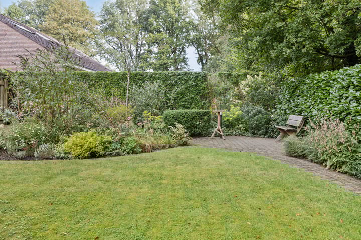 Foto 48 van Meidoornlaan 16