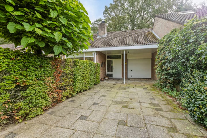 Foto 53 van Meidoornlaan 16