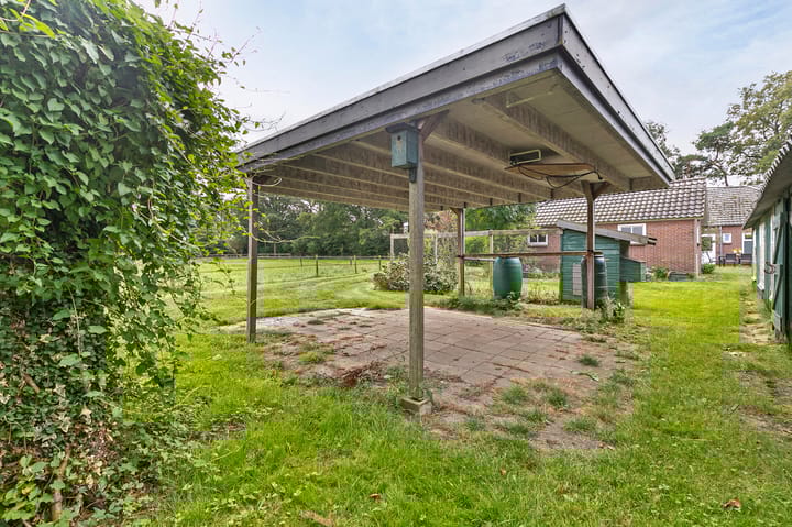 Foto 50 van Platvoetsdijk 1