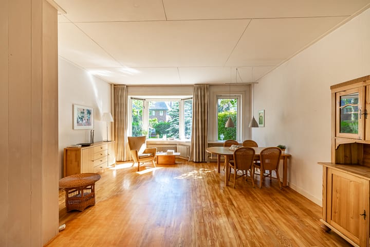 Foto 11 van Goeman Borgesiuslaan 12