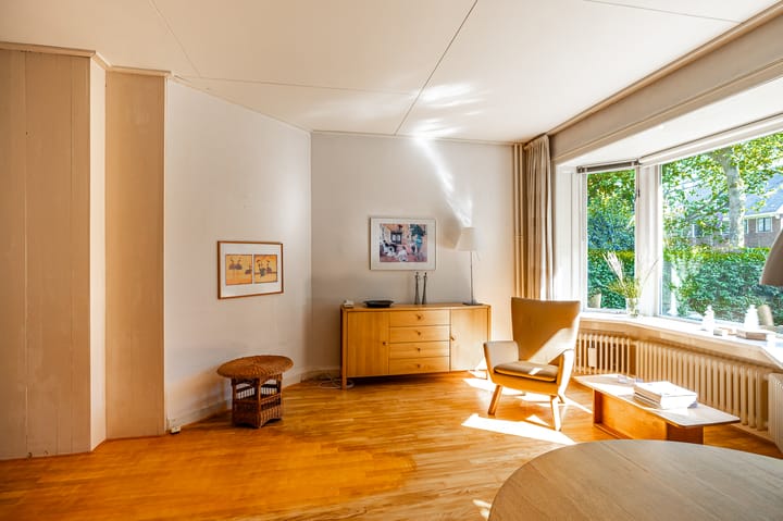 Foto 13 van Goeman Borgesiuslaan 12