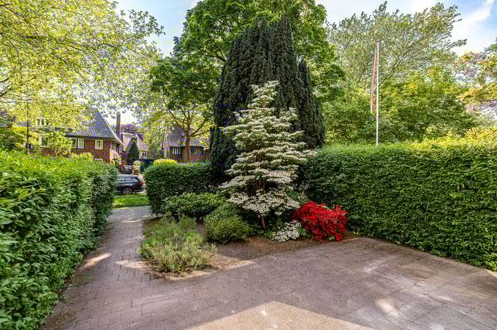 Foto 3 van Goeman Borgesiuslaan 12