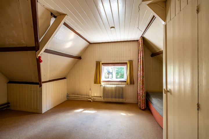 Foto 31 van Goeman Borgesiuslaan 12