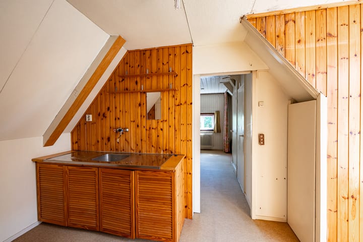 Foto 35 van Goeman Borgesiuslaan 12