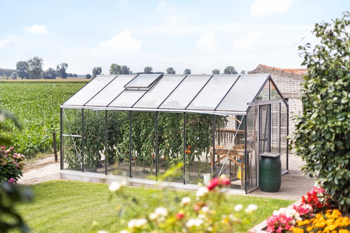 Photo 35 of Ringdijk 4