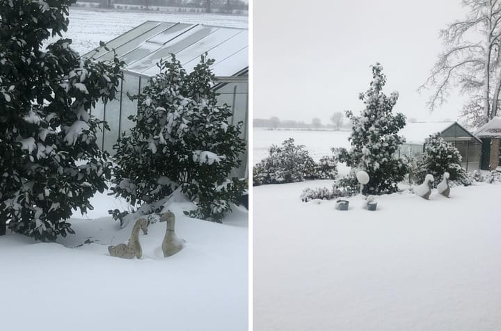 Photo 46 of Ringdijk 4