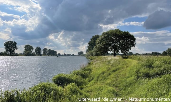 Photo 50 of Ringdijk 4