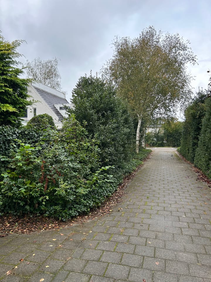 Foto 31 van Bosrand 109