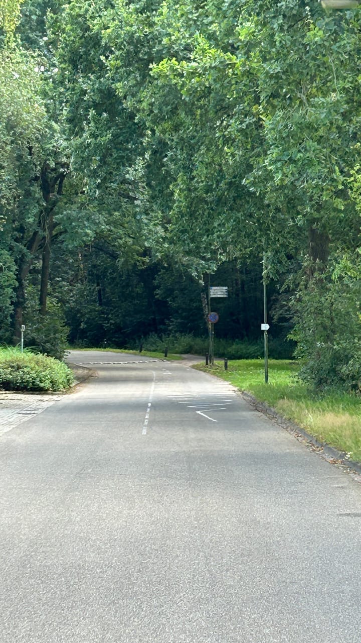 Foto 37 van Bosrand 109