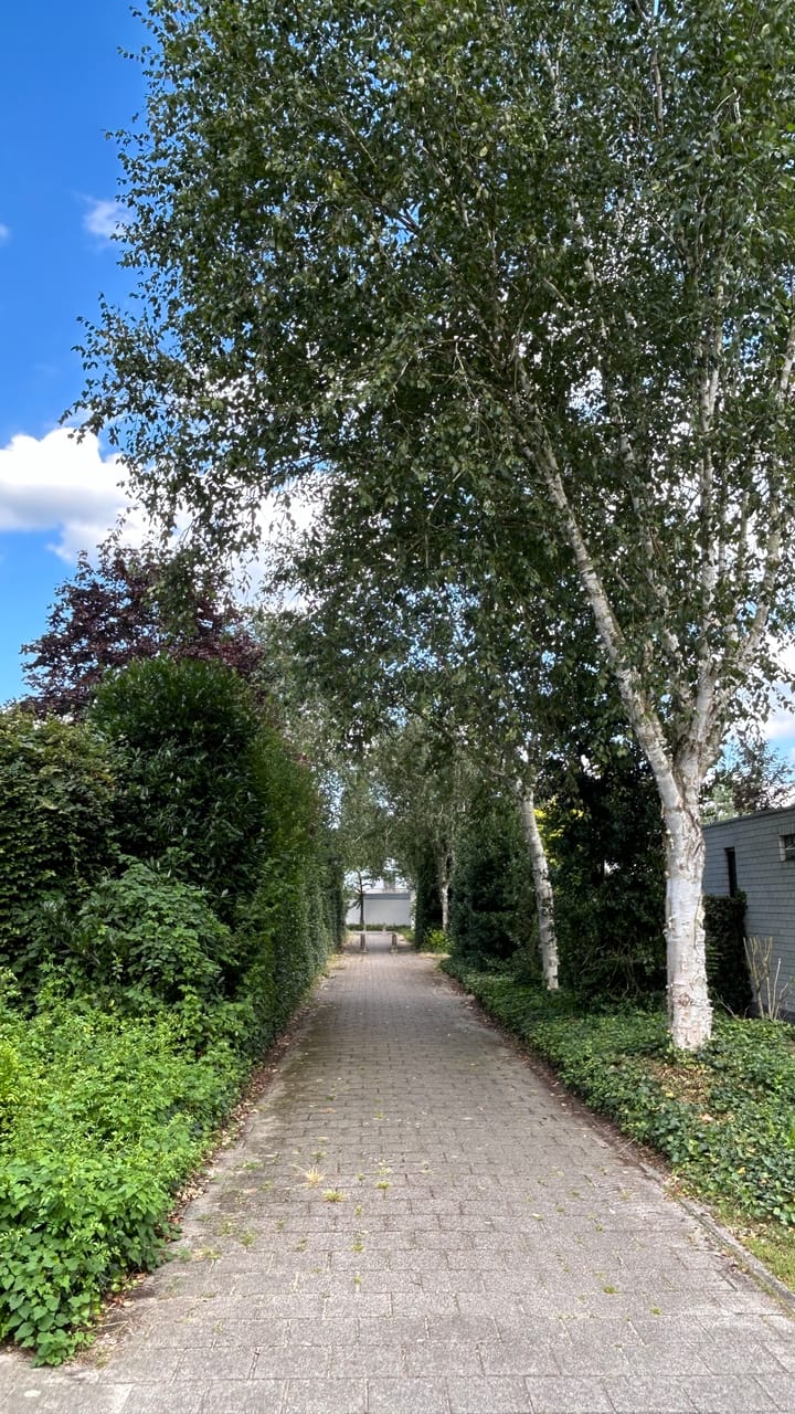 Foto 36 van Bosrand 109