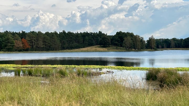 Foto 40 van Bosrand 109