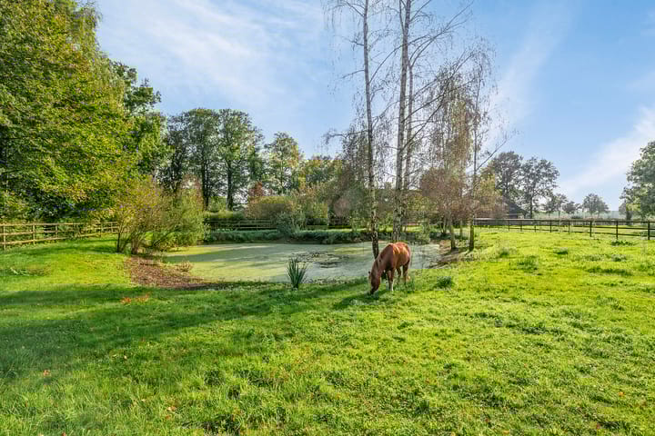 Foto 5 van Landrop 3