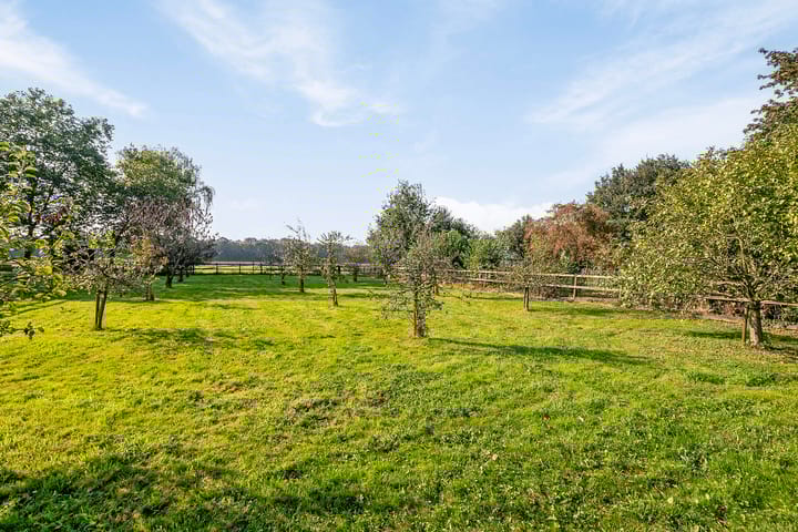 Foto 85 van Landrop 3