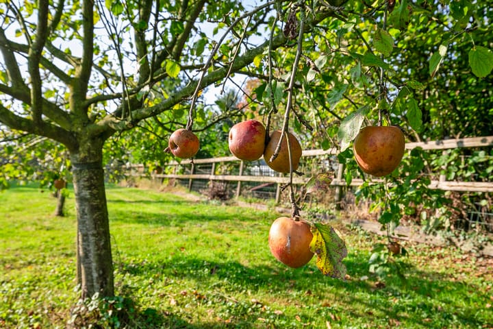 Foto 86 van Landrop 3