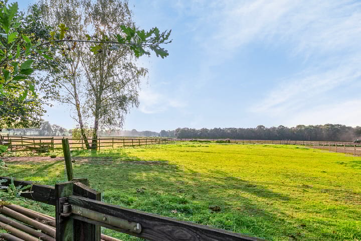 Foto 87 van Landrop 3