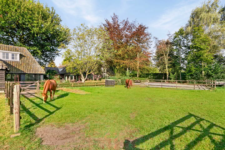 Foto 91 van Landrop 3