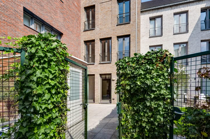 Photo 15 of Maagdendries 45