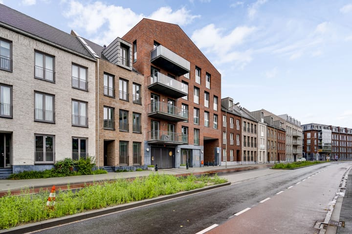 Photo 37 of Maagdendries 45