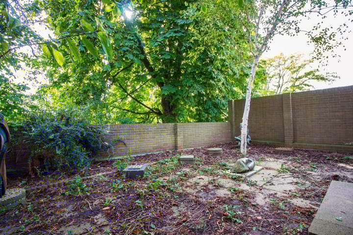 Foto 26 van Westereiland 70