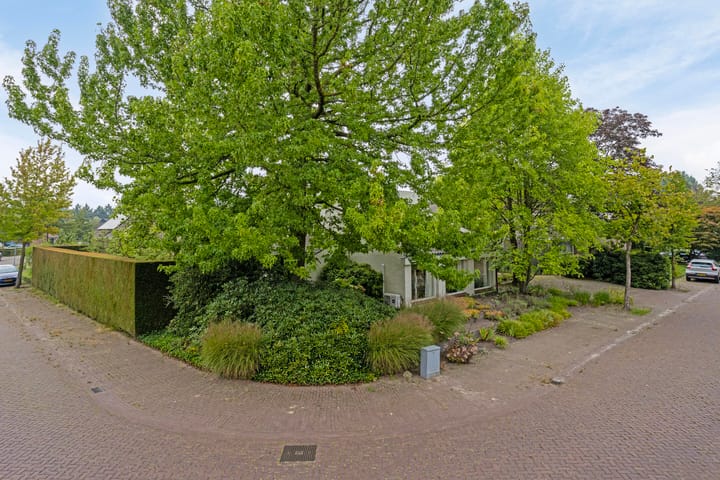 Foto 3 van De Watersnip 13