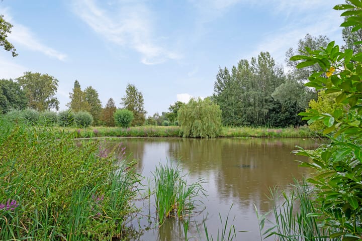 Foto 56 van De Watersnip 13