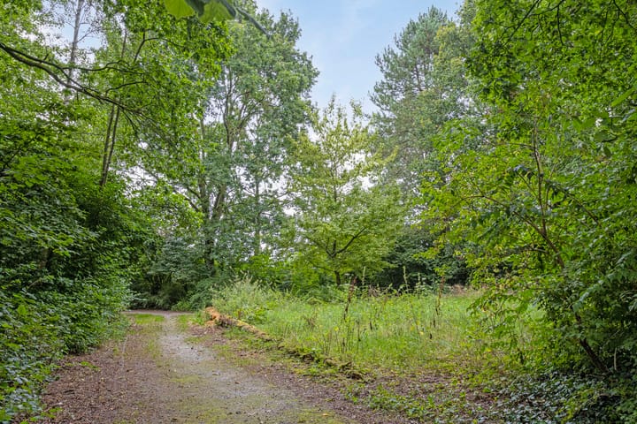 Foto 57 van De Watersnip 13