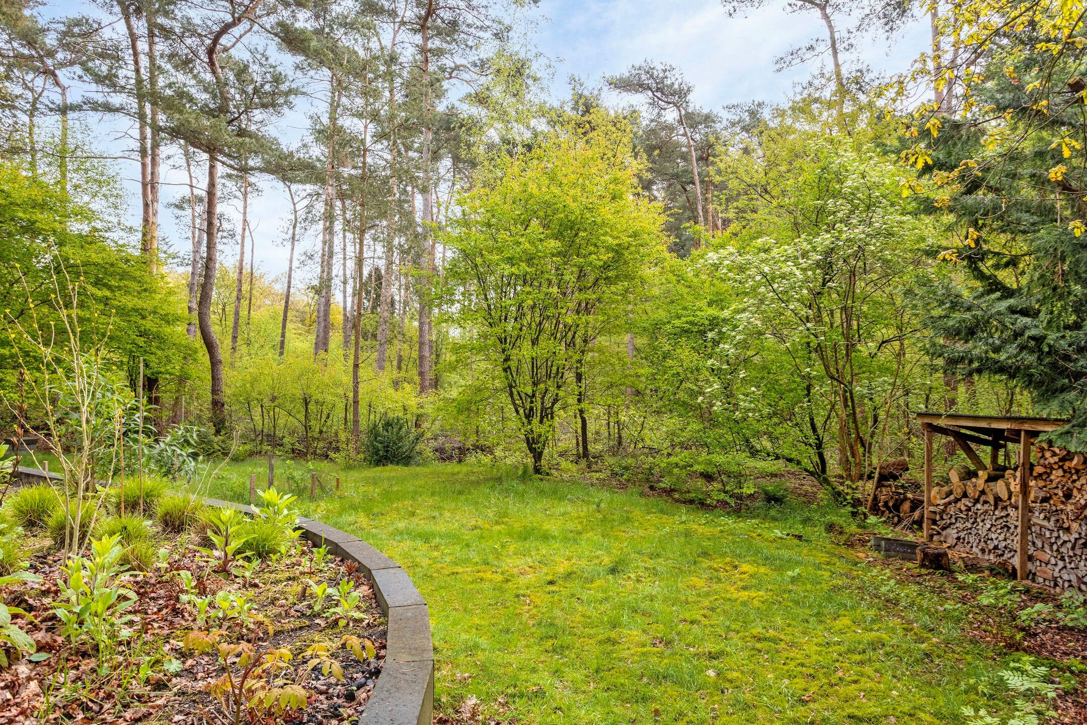 Foto 3 van Wolfskuil 44