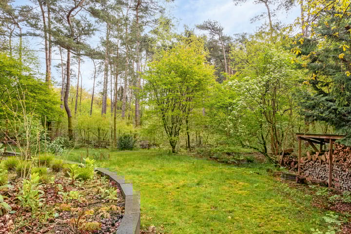 Photo 3 of Wolfskuil 44