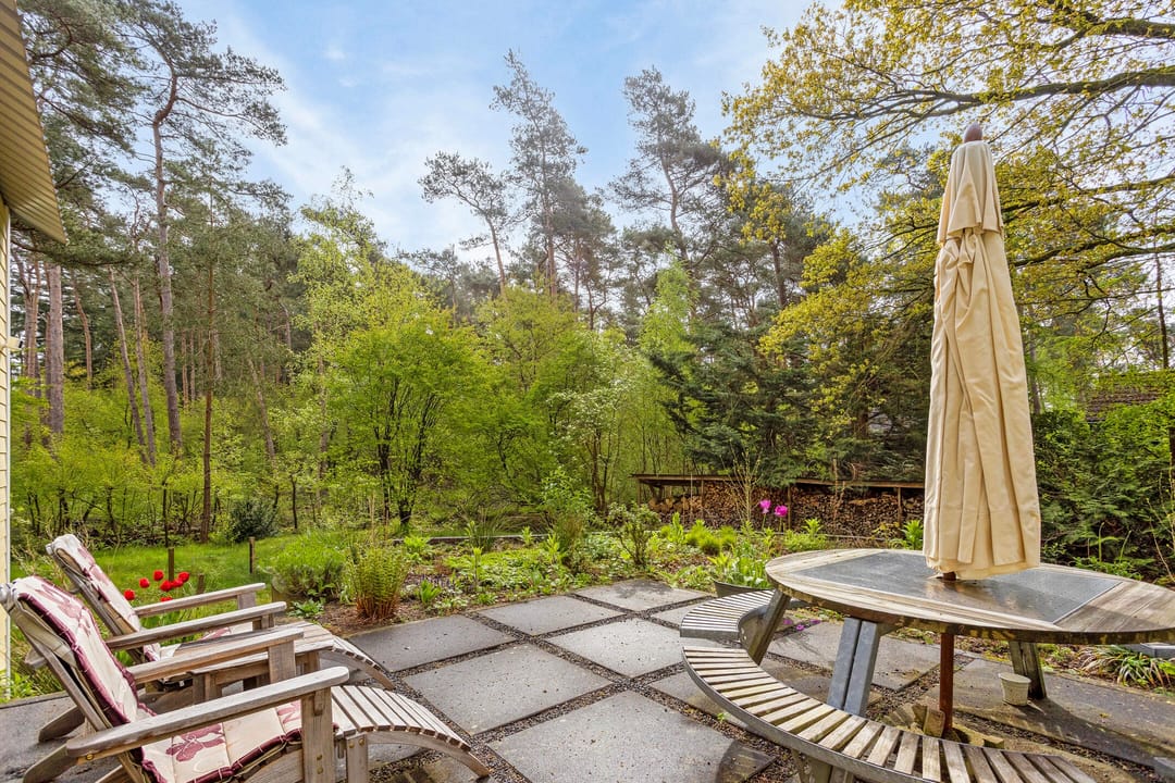 Foto 31 van Wolfskuil 44