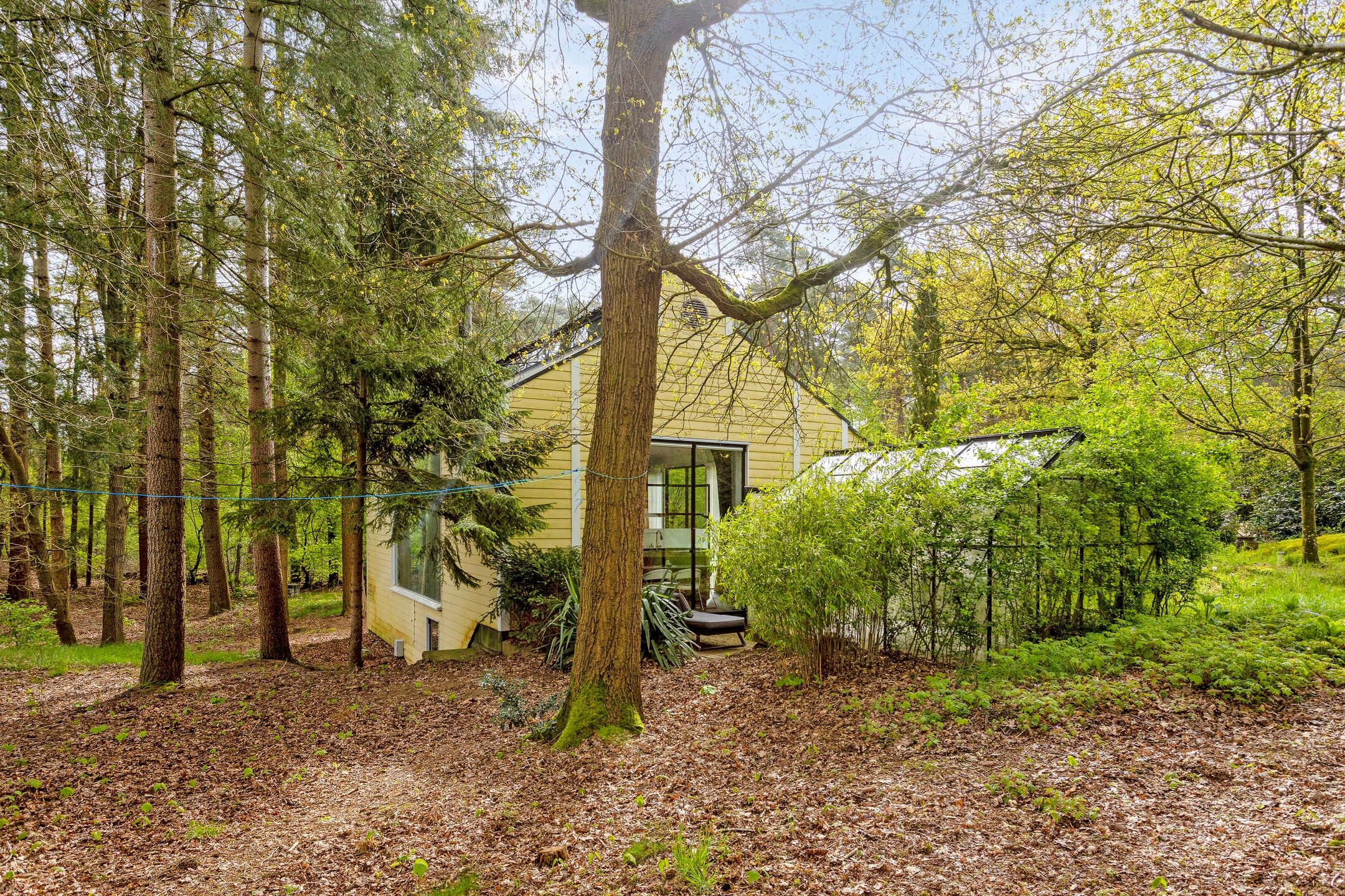 Foto 36 van Wolfskuil 44