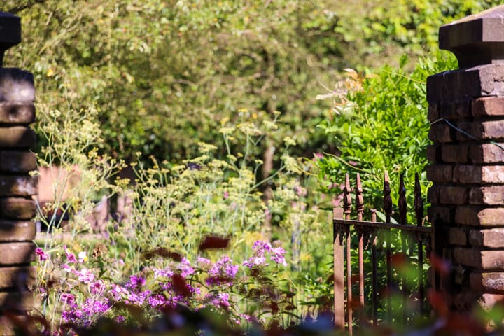 Photo 50 of Oude Arnhemseweg 93