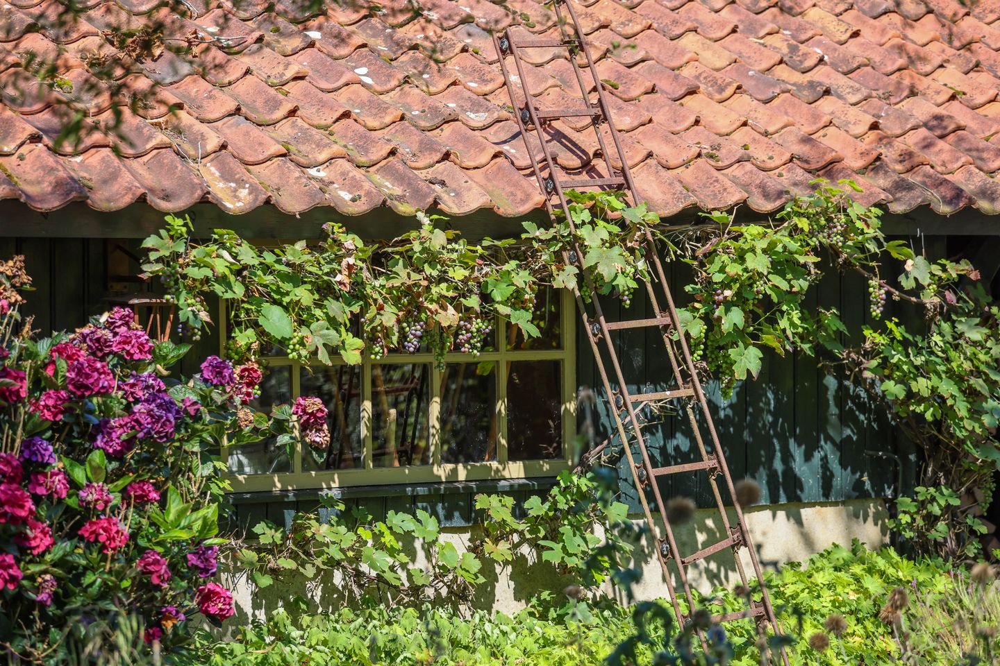 Foto 55 van Oude Arnhemseweg 93