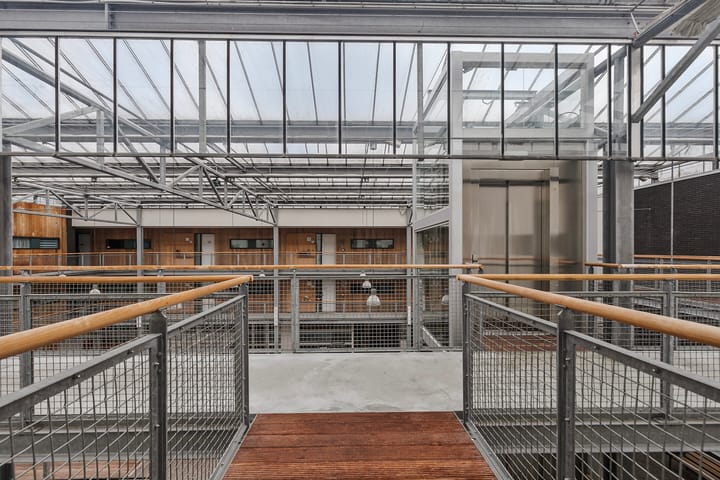 Foto 6 van Kamilleplein 43