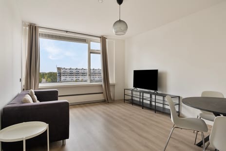 S. F. van Ossstraat 294 secondary image