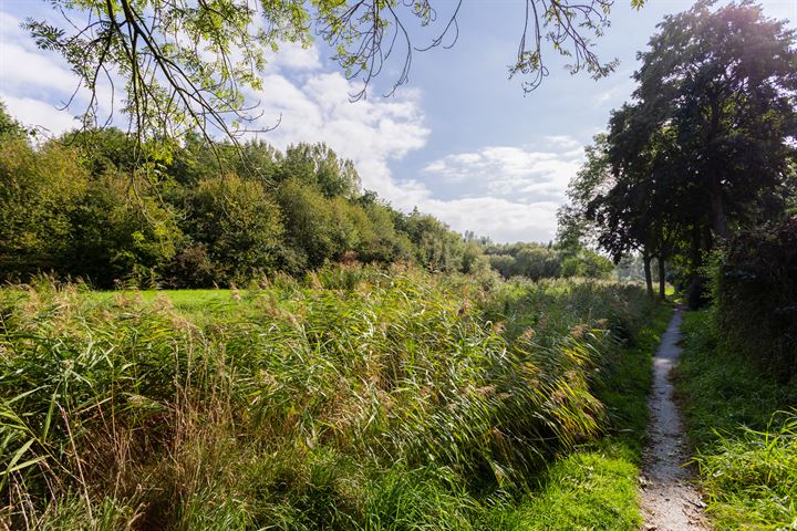 Bekijk foto 5 van Fultsemaheerd 25-A