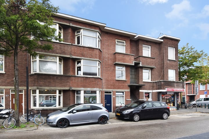 Bekijk foto 21 van Oudemansstraat 113