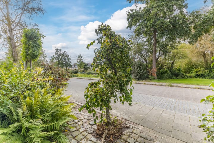 Foto 5 van Ranonkellaan 19