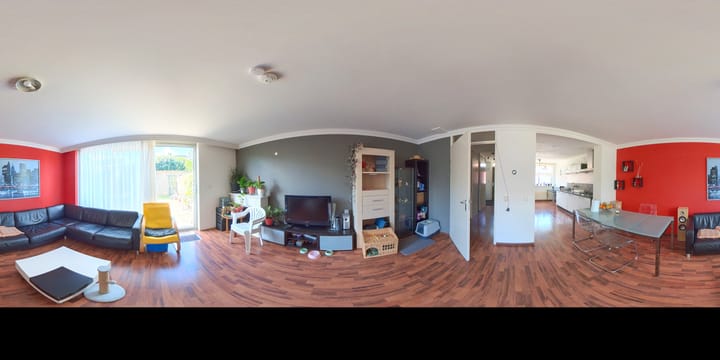 Foto 42 van IJsvogel 9