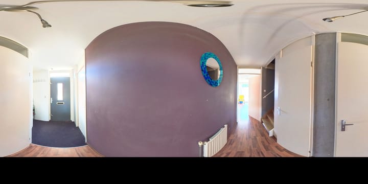 Foto 41 van IJsvogel 9