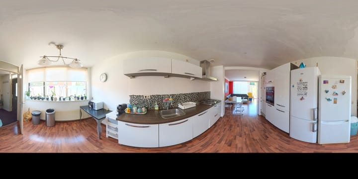 Foto 43 van IJsvogel 9