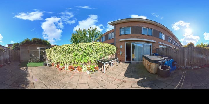 Foto 44 van IJsvogel 9