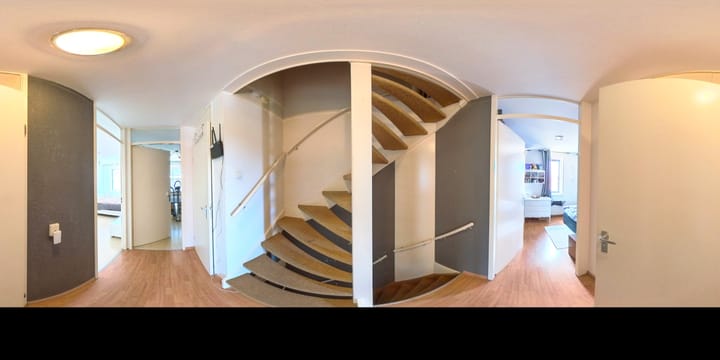 Foto 45 van IJsvogel 9