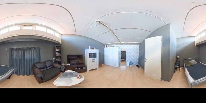 Foto 50 van IJsvogel 9