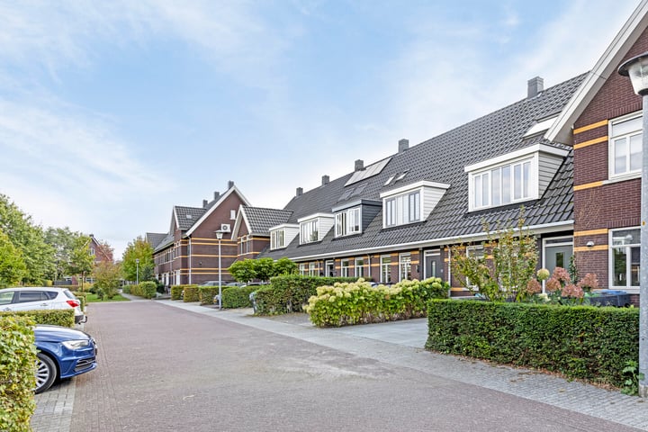 Foto 4 van Leembergerhout 4