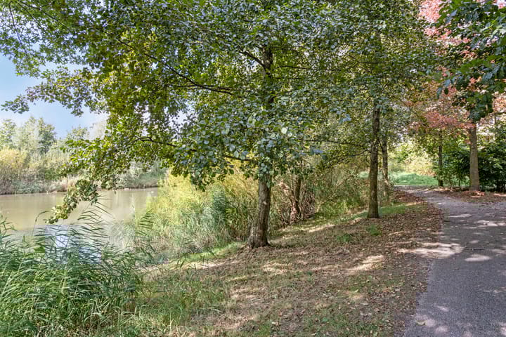 Foto 34 van Leembergerhout 4